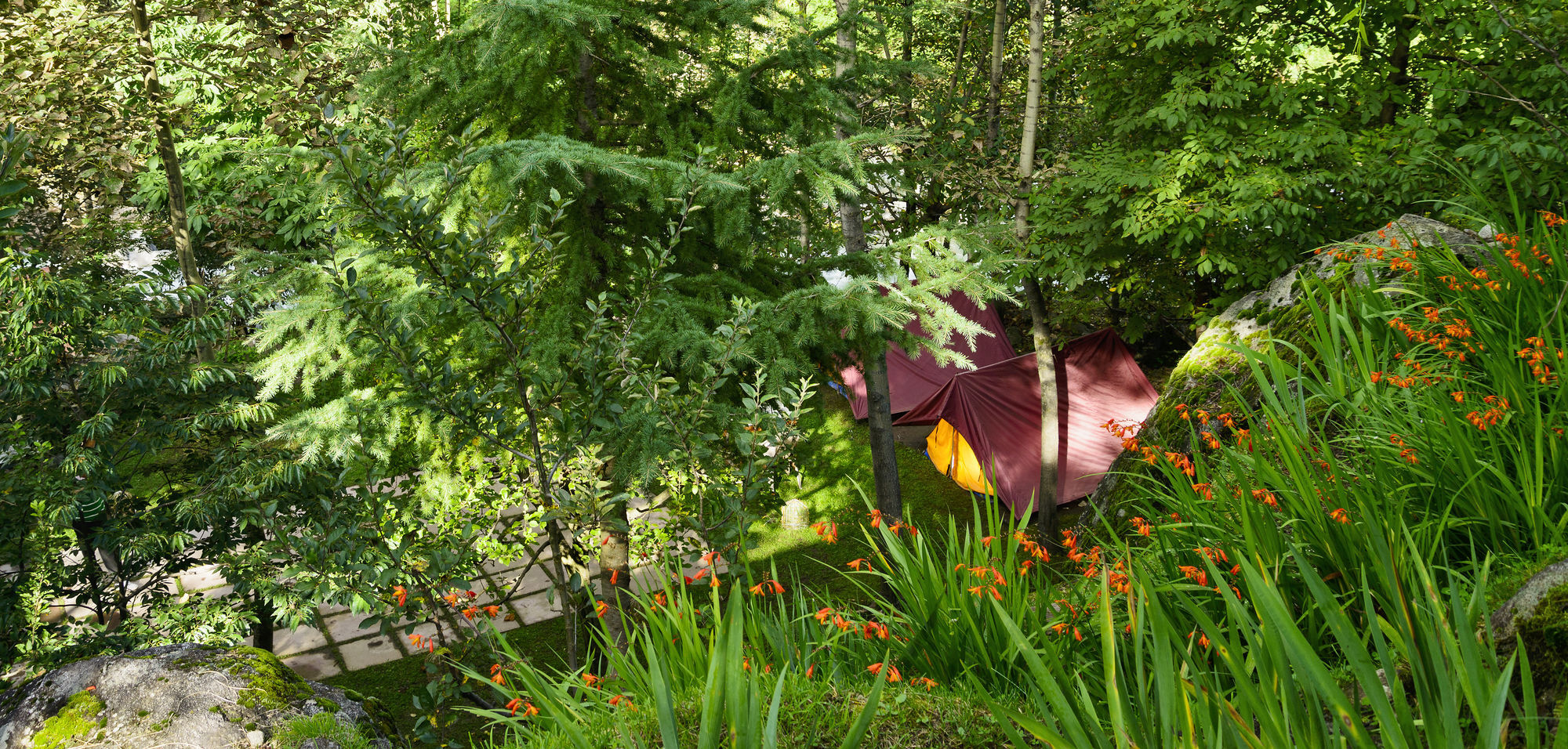 Solang Valley Resort Palchān Екстериор снимка
