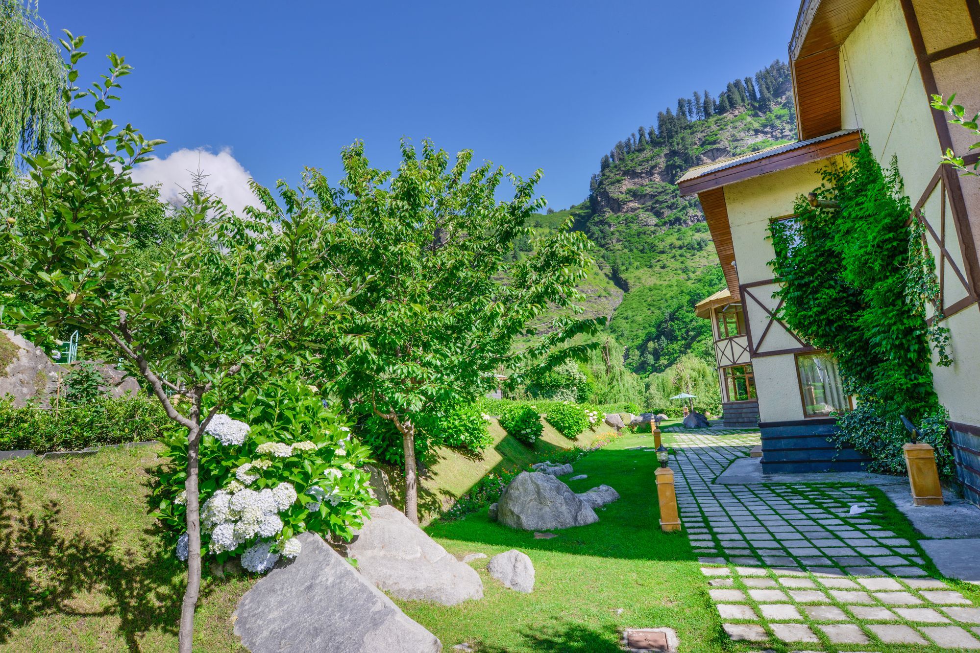 Solang Valley Resort Palchān Екстериор снимка